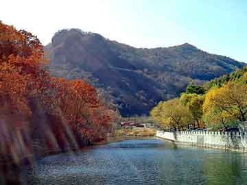 新澳门二四六天天开奖，早餐第一步价格